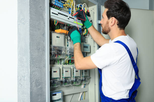 Best Electric Panel Repair  in Spring City, UT